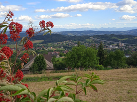 IMG_20220713_180749_1.webp