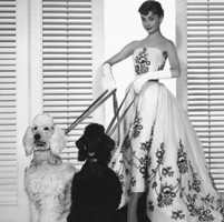 HD-wallpaper-audrey-hepburn-hollywood-cute-girl-teen-hot-sexy.webp