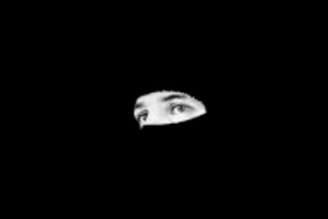 38006.jpg.gif