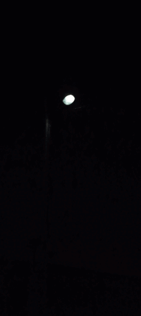20220828_044311.gif