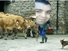 Pastor con vacas en Ojacastro La Rioja DSC01811 (2).webp