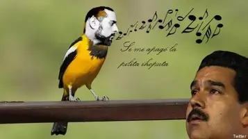 el tormento_MADURO-PAJARITO-570.webp