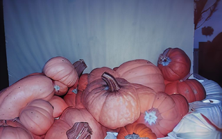 1664714100008976.webp