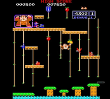 1812-18-DONKEY-KONG-JR.jpg