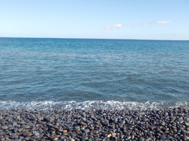 IMG_20220615_182033.webp