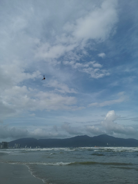 IMG_20221027_141452.webp