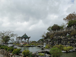 IMG_20221026_092113.webp