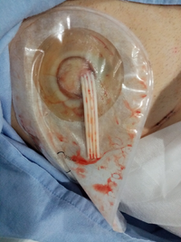 [2022-10-27] 21,01,48.webp