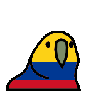 5766_colombiaparrot.gif