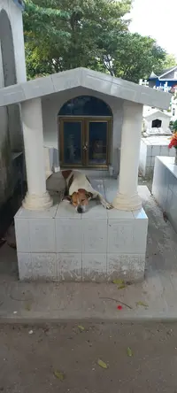 Cementerio Cancun 7.webp