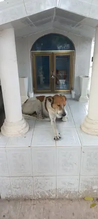 Cementerio Cancun 11.webp