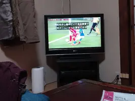20221201_212235.webp