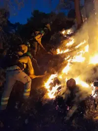 condiciones-meteorologicas-permiten-avanzar-labores-extincion-del-incendio-guajares.webp