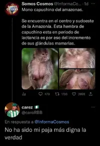 WhatsApp Image 2023-01-09 at 06.17.05.webp