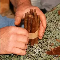 Screenshot 2023-01-28 at 12-47-14 caliqueño - Búsqueda de Google.webp