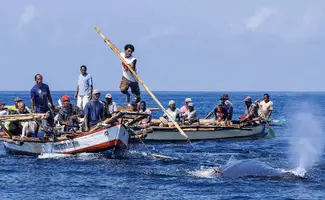 balleneros-caza-ballenas-arpon-indonesia-cultura.webp