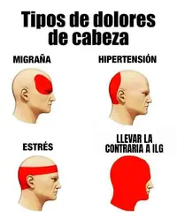 ZomboMeme 05022023200502.webp