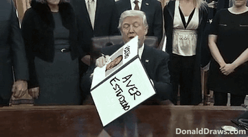 DonaldDraws1679608936403.gif
