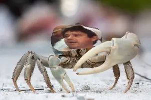 Benito cangrejo.webp