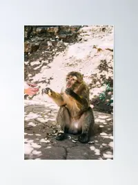 Amarocomiendo(1).webp