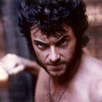 wolverine.webp