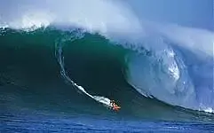 hank_bradshaw_bigwave_h.webp