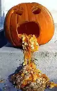 pumpkin.webp