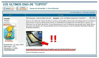 pesaointerview8.webp