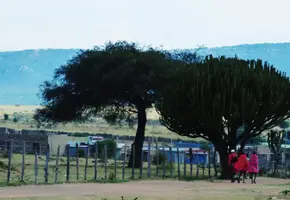 IMG-20190413-WA0015.jpg IMG-20190413-WA0015.jpg