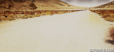 559395_landscape-tumbleweed.gif