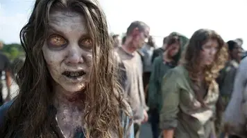 twd.webp
