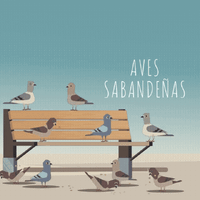 Diseño sin título.gif