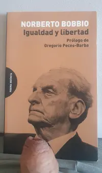 asdf - copia - copia.webp