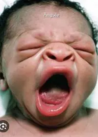 Screenshot_20230821_162702_Samsung Internet.webp