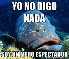 1696430929981.webp