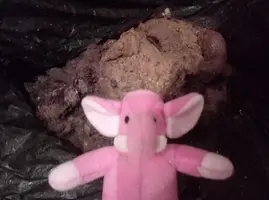 [‎2023-10-14] 04,15,30.jpg