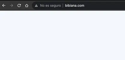 Captura de pantalla 2023-11-11 a las 1.06.57.webp