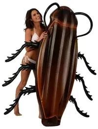 flotador-playa-colchoneta-cucaracha-gigante.webp