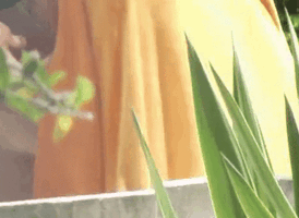 ezgif.com-video-to-gif-converter (3).gif