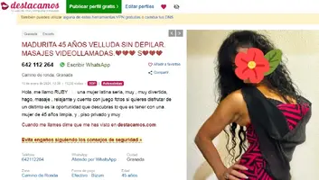 velluda1.webp