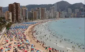 1706456019651.webp