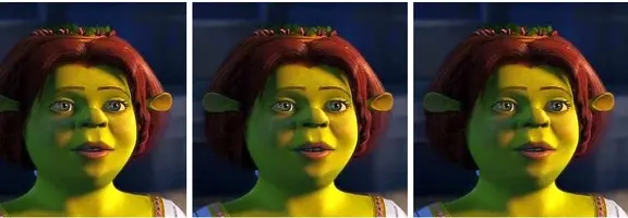 fiona.jpg