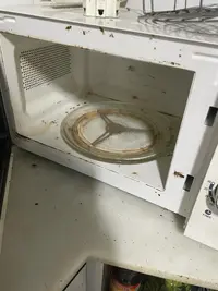 WhatsApp Image 2024-02-28 at 19.35.18-3.jpeg WhatsApp Image 2024-02-28 at 19.35.18-3.jpeg