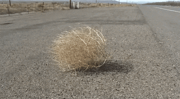 87c40cd435bae046bdd76901e7ab52dd2d039c82.gif