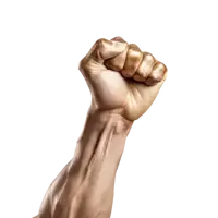 pngtree-a-raised-clenched-hand-on-the-transparent-background-png-image_11749744.webp