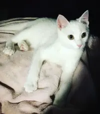 Captura de pantalla 2024-03-14 a las 23.38.23.webp