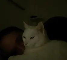 Captura de pantalla 2024-03-17 a las 2.27.59.webp