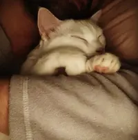 Captura de pantalla 2024-03-17 a las 2.28.26.webp