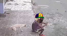 stray-dog-pee-on-man-adopted-heinze-sanchez-8.gif
