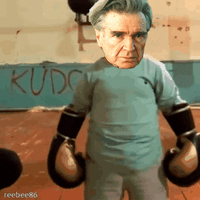 ilg hasbulla gif.gif